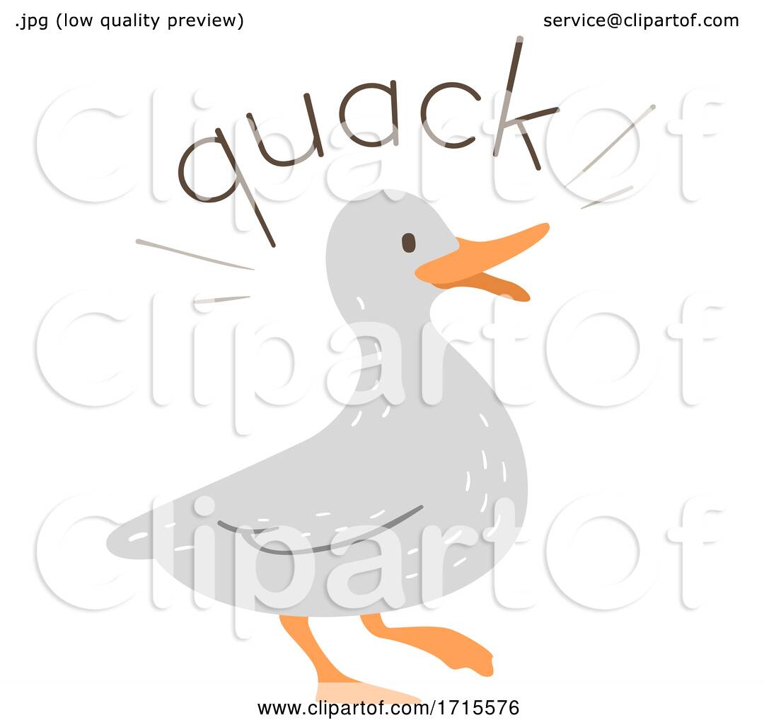 duck quack sound download